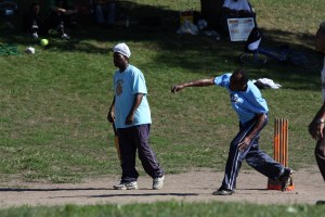 cricket pitch REVERSE