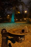 green traffic fountain