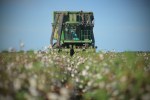 cotton tractor