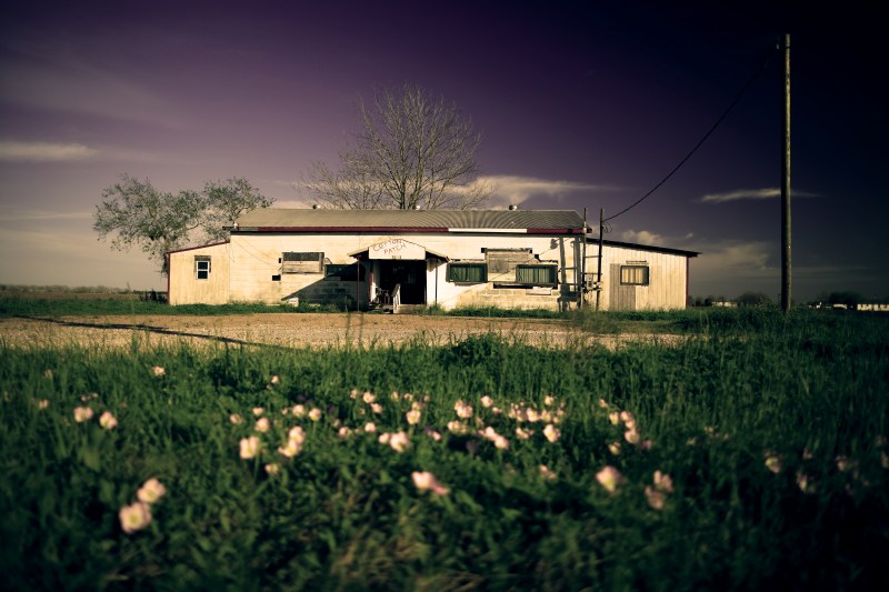 cotton patch flowers