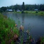 pond wide