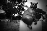 greenwood cemetery 7