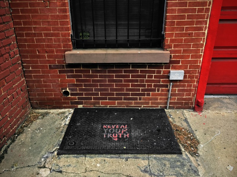 reveal your truth copy